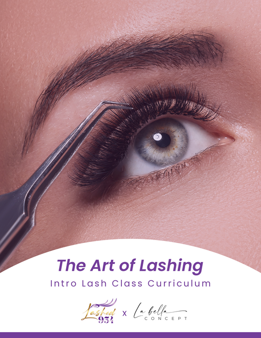 The Art of Lashing: Intro Lash Class Curriculum (Digital Download)